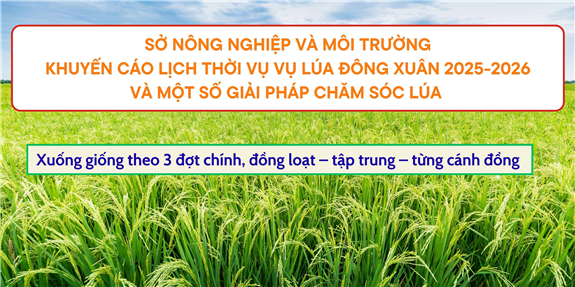 Ảnh: Khuyến cáo lịch thời vụ vụ lúa Đông Xuân 2025 - 2026