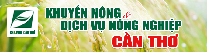 Khuyến nông và DVNN Cần Thơ